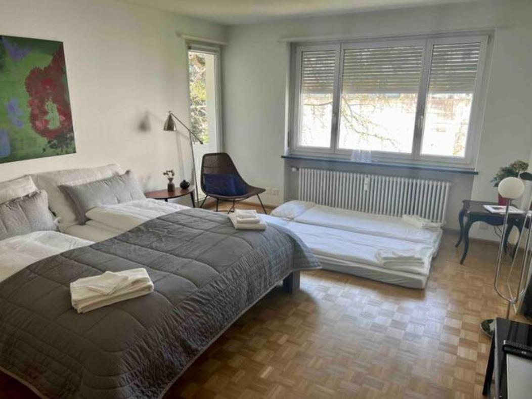 Gemuetliche Wohnung Naehe Uni بازل المظهر الخارجي الصورة